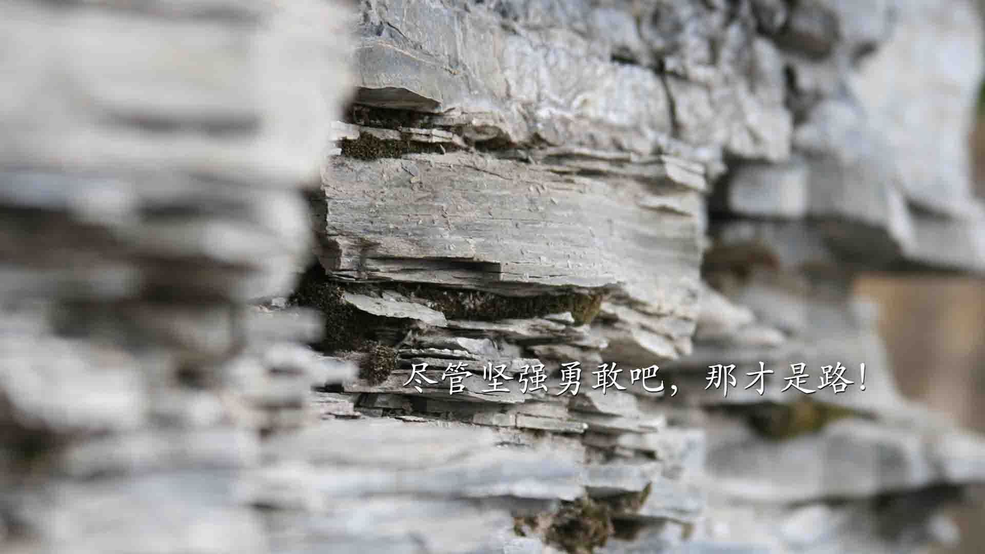 九游正版入口-_快船迎接挑战，战局紧张激烈_，快船对战