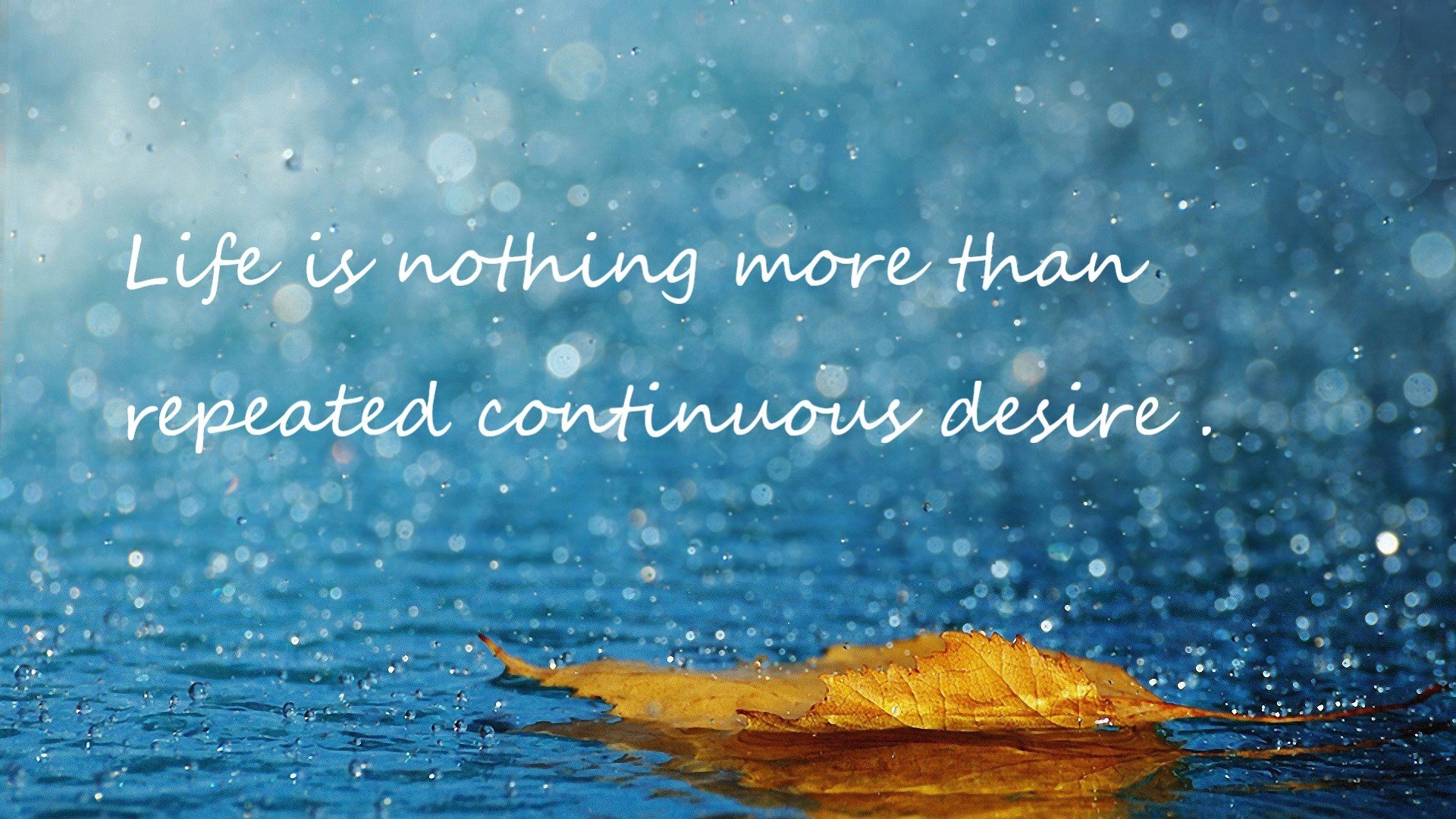 切尔西新阵型试水,战术多样性令人期待,切尔西2021赛季阵型图