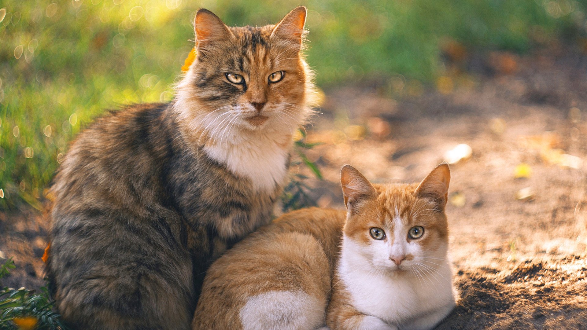 九游网-普拉提课程在老年人群体中推广，改善身体功能，普拉提针对的人群