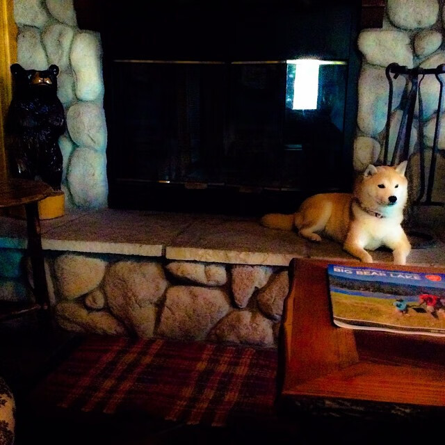 -未来“足球皇帝”逐步登顶，谁能获得荣耀？，足坛未来巨星