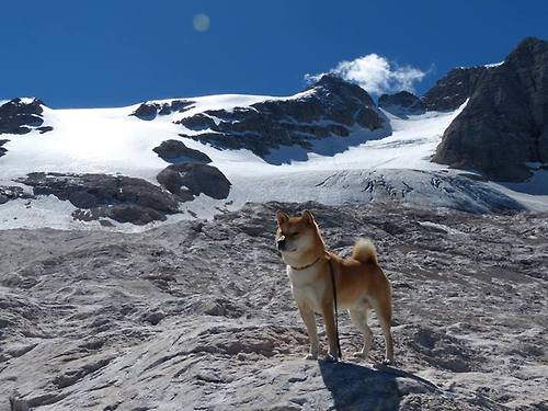 经典篮球赛事纪录片在全国广泛播出,弘扬体育精神,篮球队纪录片