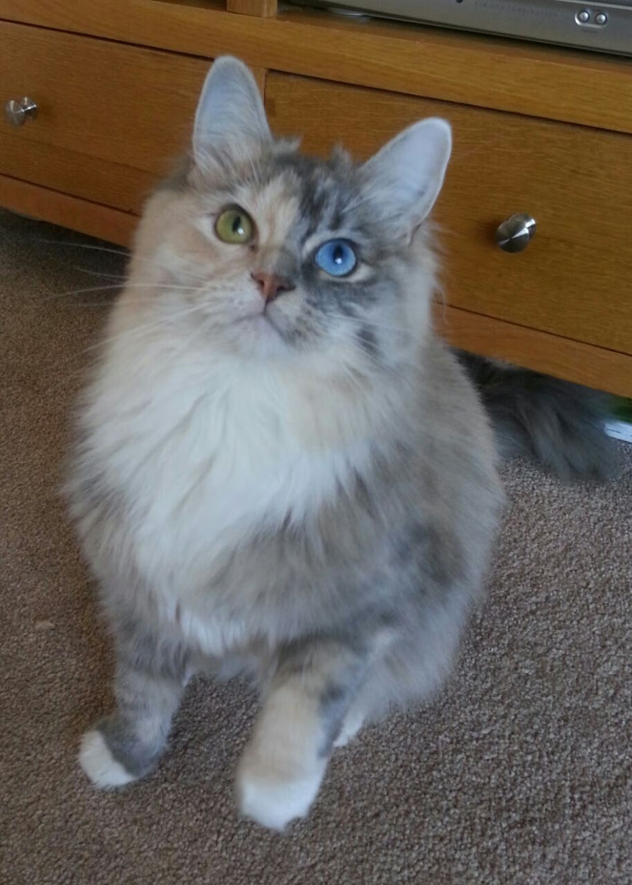 九游正版入口-选手表现评价：谁是MVP，谁是最佳进步奖？，mvp谁评选的