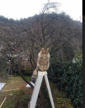 JDG推行职业选手康复训练体系