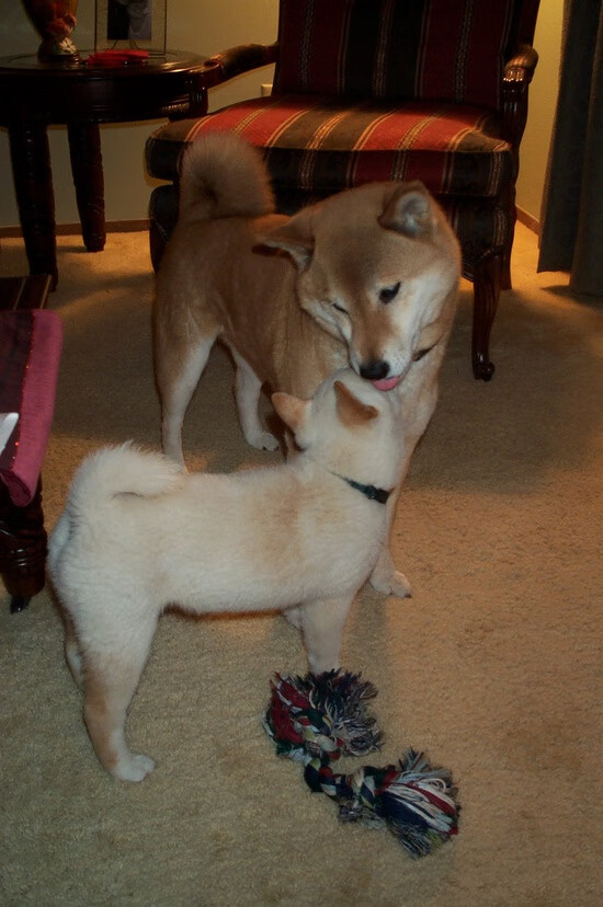 九游网页版官网-中超联赛推广本土年轻球员政策，中超年轻中场