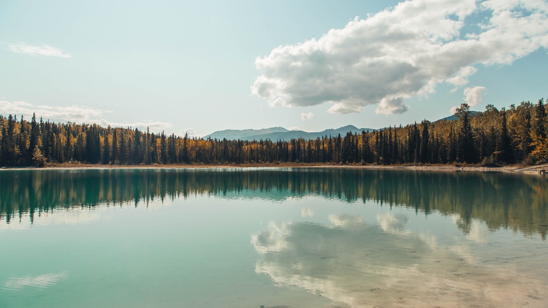 九游下载中心-墨西哥队计划引进海外归国球员，墨西哥国家足球队名单