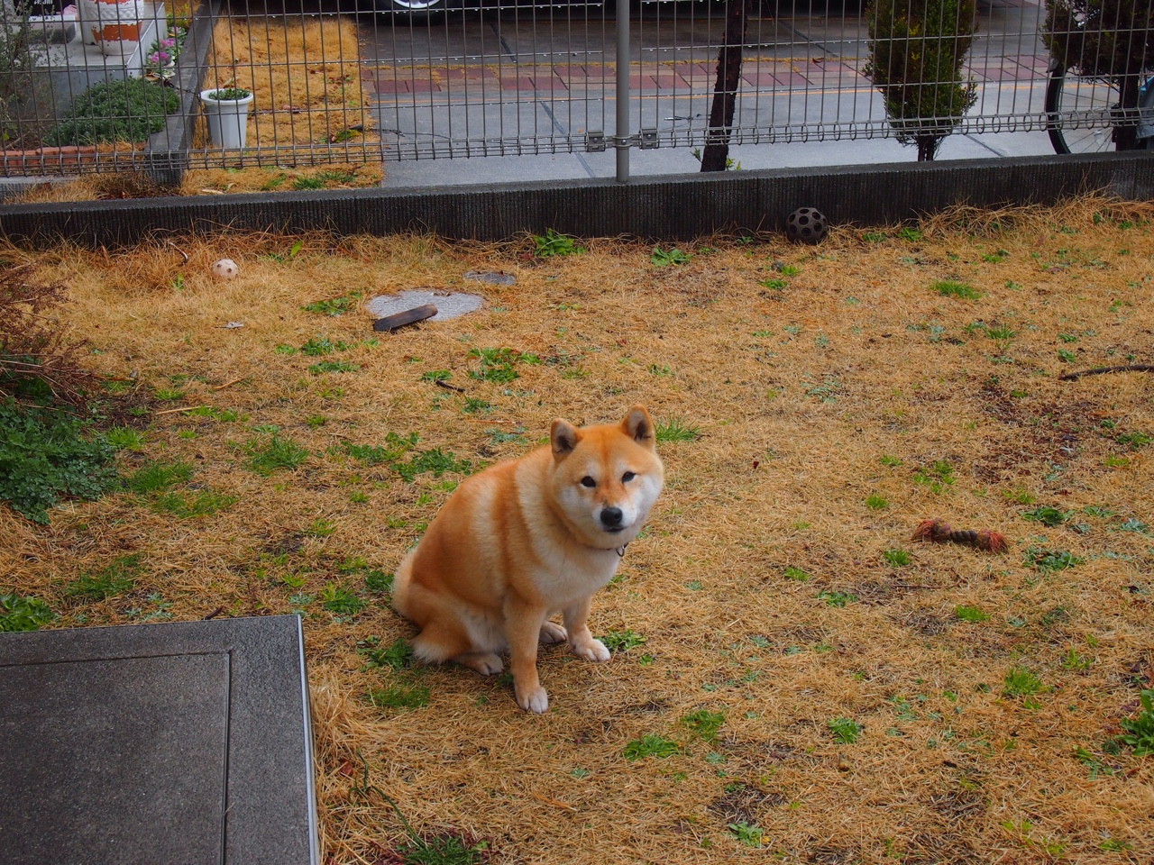 广东宏远球星状态保持稳定，广东宏远全部球员