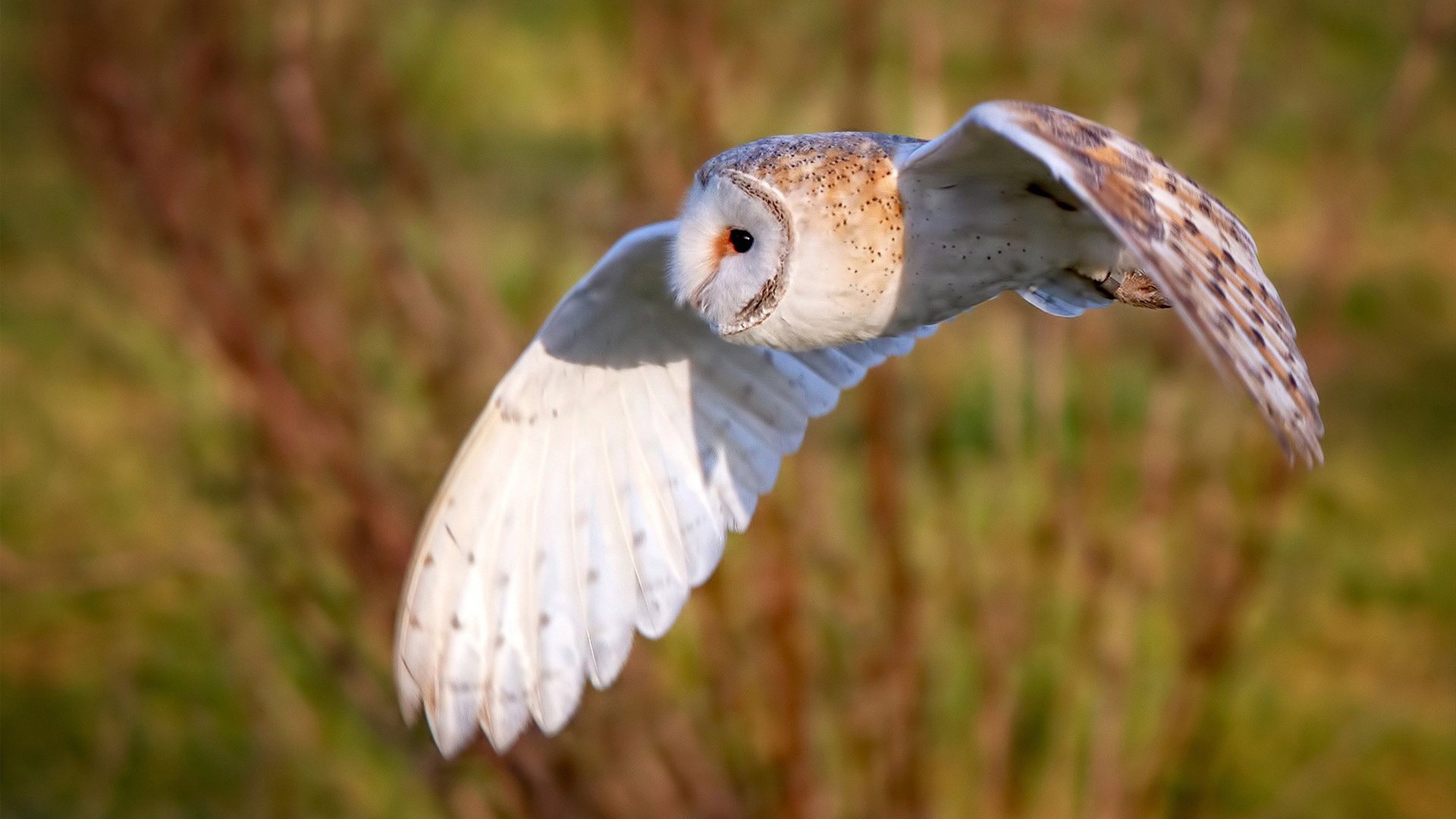 九游网页版入口-建业青训球员崭露头角，为球队增添活力，建业青训球员崭露头角,为球队增添活力