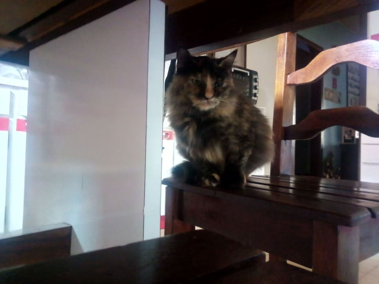 火箭爆冷惨败雄鹿,哈登空砍+难救主,火箭失去哈登