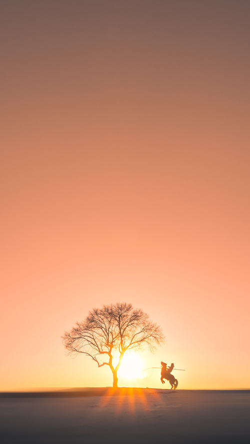 九游（jiuyou.com）游戏-球员团结应对意外，女足比赛惊险不断，女足队员受伤