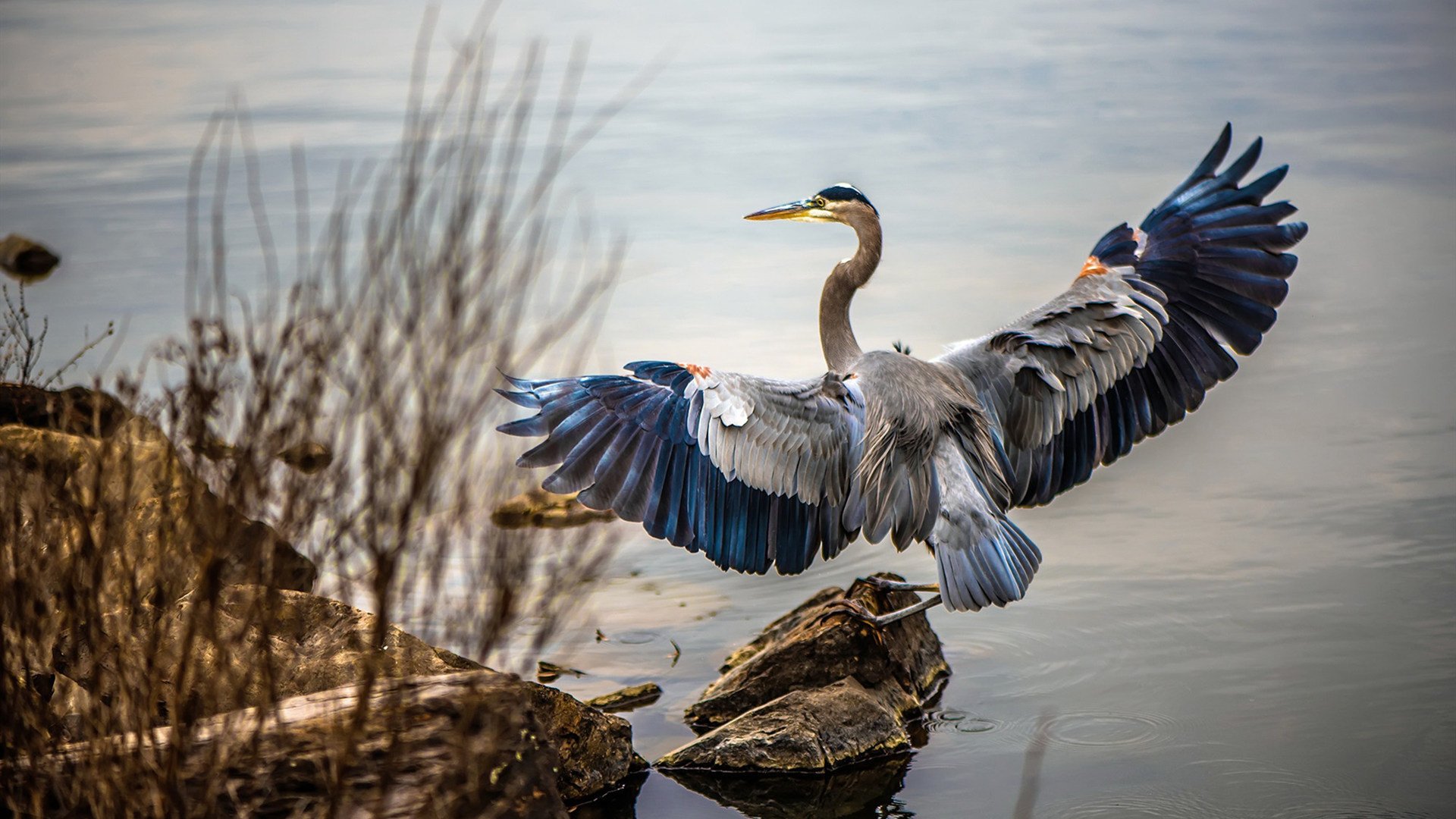 神奇进球现身亚洲球场,球迷热议无法停止,足球神奇进球