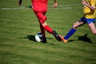 九游娱乐官网 (jiuyou)-中国足球年度训练项目与技战术实战匹配，中国足球队战术