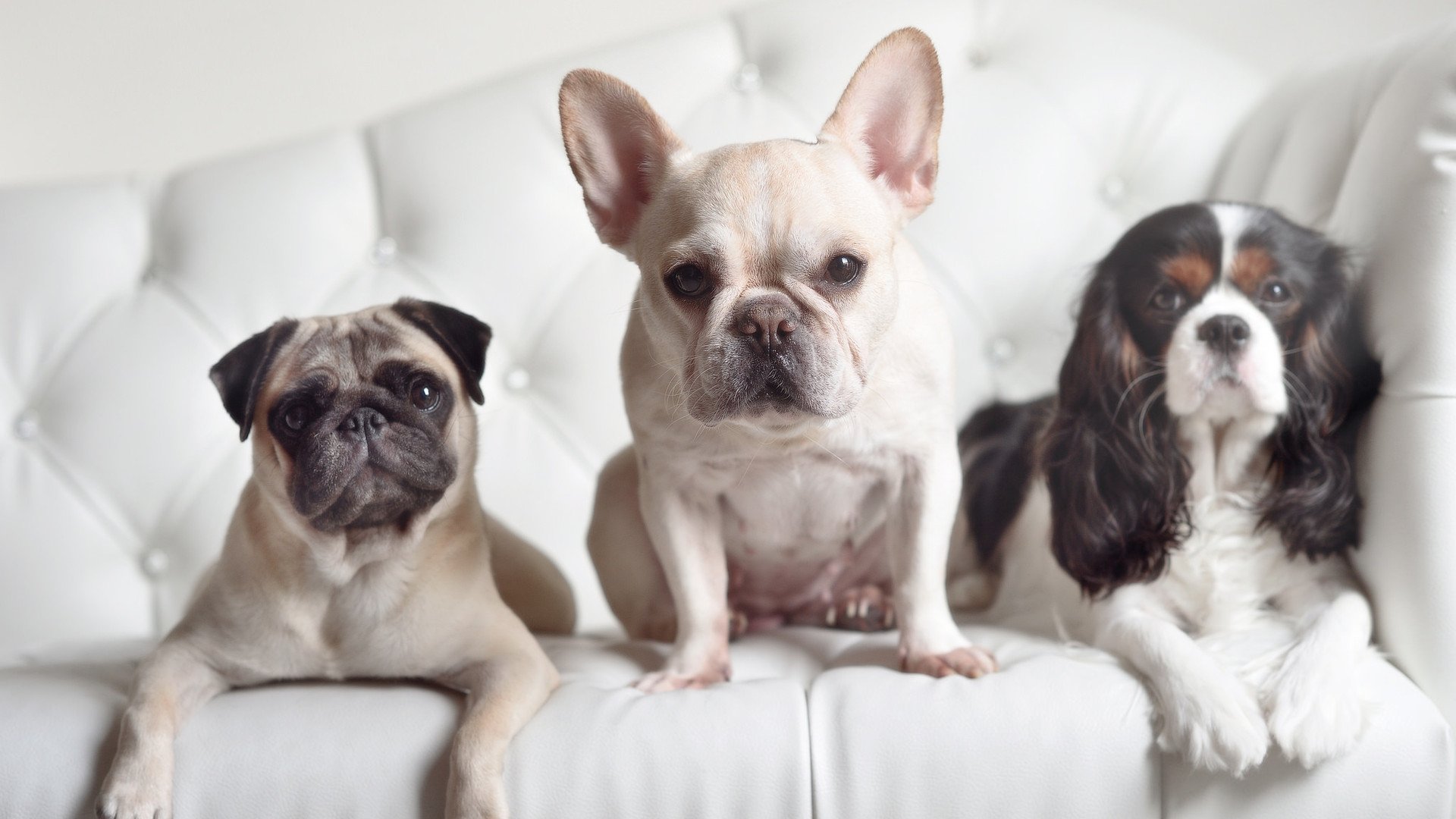 体育场馆安全应急预案制定，体育场馆安全管理方案