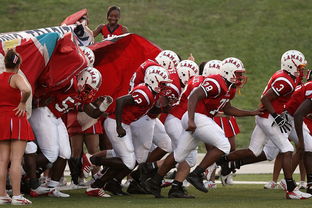 九游登录入口-青少年体育参与行为及其影响机制探讨，青少年体育参与行为及其影响机制探讨论文