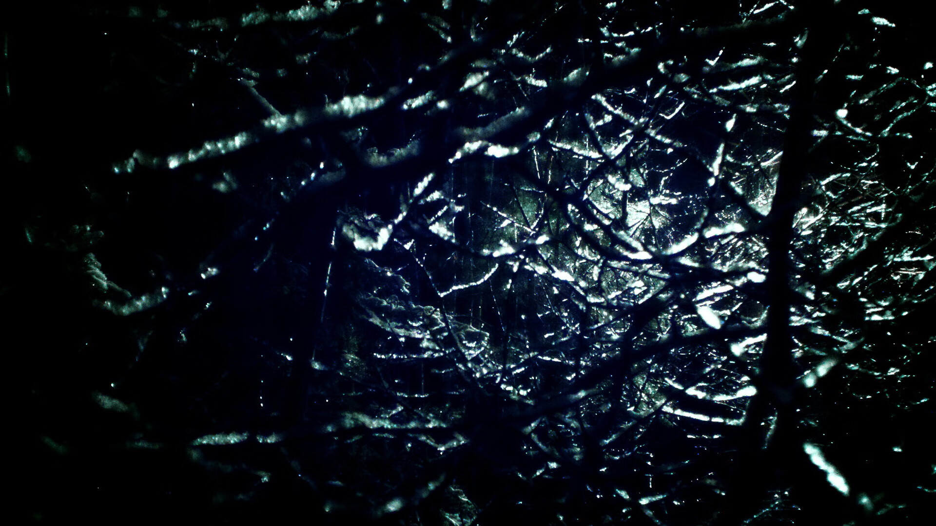 切尔西新星表现抢眼,未来前景看好,切尔西新帅