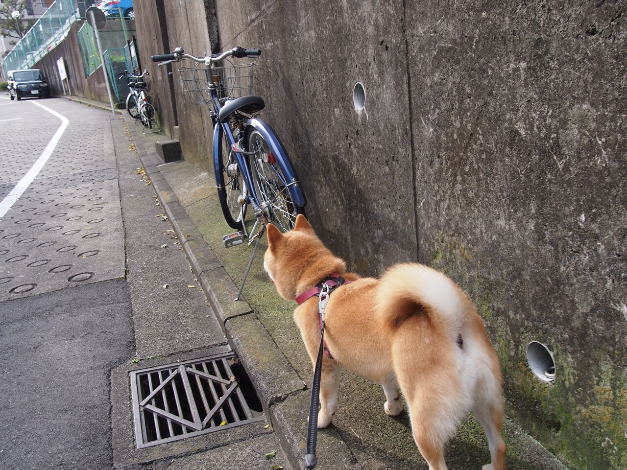 转身节奏控制成为关键因素，转身音效