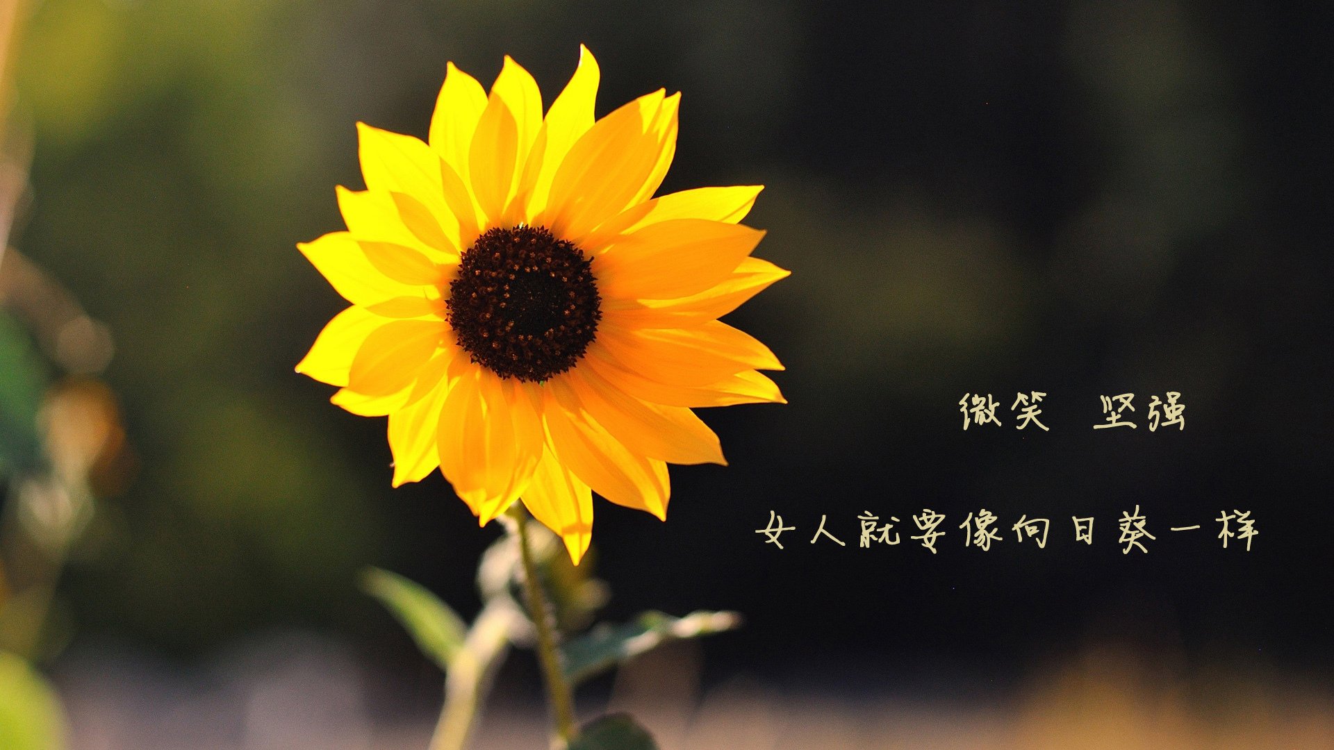 中国足球青少年联赛比赛规则细化完善,中国青少年足球比赛有哪些