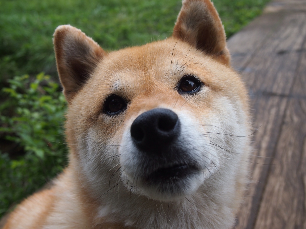 九游登录中心-以足球主题的公益文化卡通产品深受儿童喜爱，足球文化节儿童画